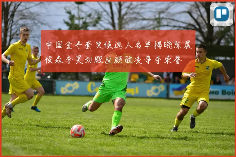 中国金手套奖候选人名单揭晓陈晨侯森李昊刘殿座颜骏凌争夺荣誉